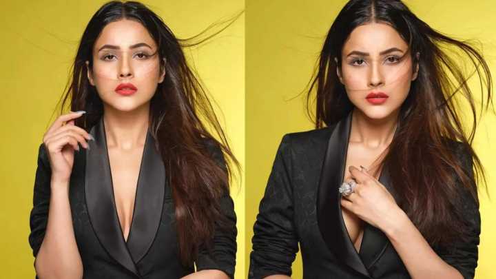 Dabboo Ratnani drops some glamorous pictures of Shehnaaz Gill, says ‘Keep Your Head Up And Heart Strong’