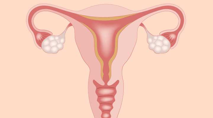 Ovarian Ageing: What role does age have in a women’s fertility