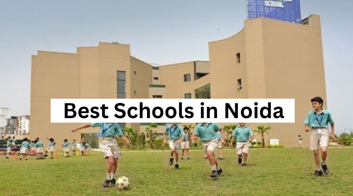 10 Best Schools In Noida (Save This List!)